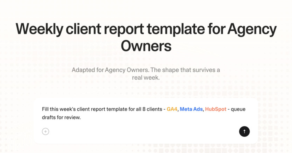 Weekly client report template for agency owners